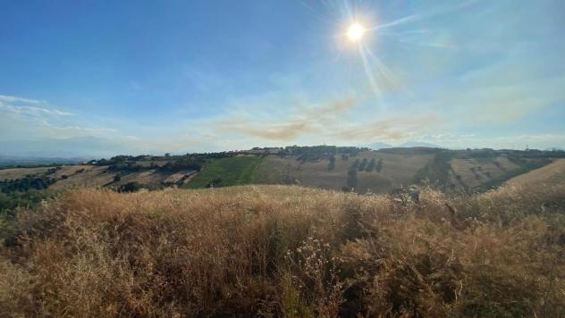 Terreno Agricolo - Roseto degli Abruzzi . Rif.: Cod. rif A132VCG
