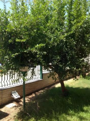Porzione di villa in vendita a Valverde - Foto 3