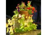 Bed & Breakfast La Gaggiaspina