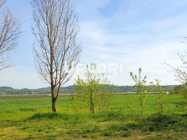 PODERE AGRICOLO DI HA 14.5 CON CASA COLONICA E SERVIZI - Foto 2