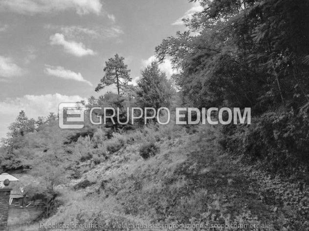 Terreno di 2755 mq in vendita a Licciana Nardi - Rif. 4554685 - Foto 4