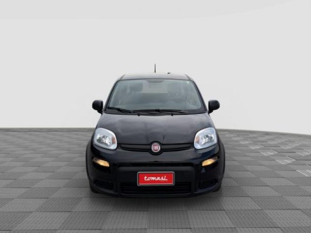 FIAT Panda Panda 1.0 FireFly S&S Hybrid rif. 24078706 - Foto 8