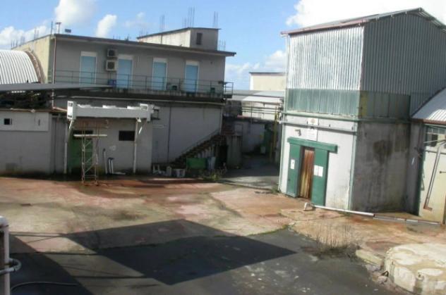 Immobile in asta di 393 m² con più di 5 locali in vendita a Rosarno - Foto 18