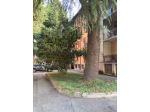 fantastico bilocale con cameretta,box cantina ristrutturato