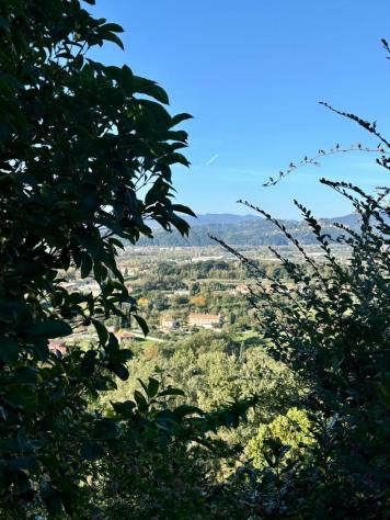 Villa in vendita a Sarzana - Foto 8