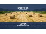 Immobile in asta di 40056 m² in vendita a Bronte