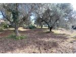 Terreno di 1440 m² in vendita a Lariano