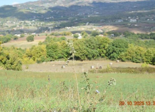 Immobile in asta di 8423 m² in vendita a Picerno - Foto 2