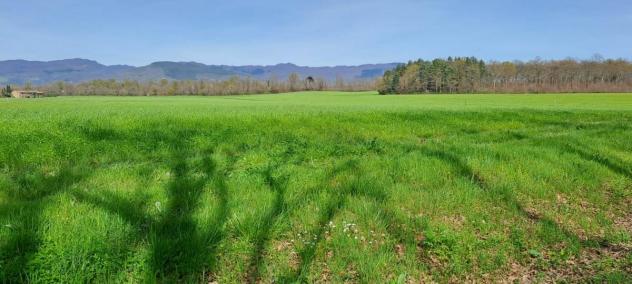 TERRENO AGRICOLO di 130000 mq (SCARPERIA E SAN PIERO - SCARPERIA) rif. AAI788 - Foto 7