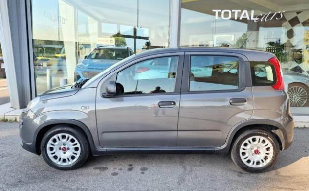 FIAT Panda 1.0 FireFly S&S Hybrid OK NEO PATENTATI rif. 23974029 - Foto 5