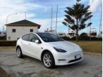 TESLA Model Y Long Range AWD rif. 23390969