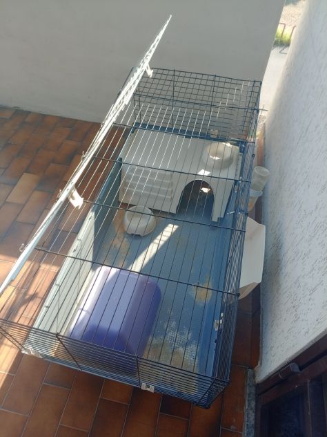 Vendo gabbia per cavia peruviana