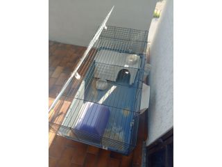 Vendo gabbia per cavia peruviana