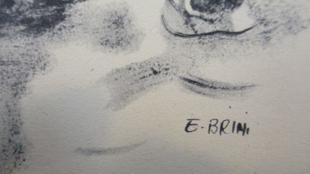 stampe ERCOLE BRINI - Foto 8