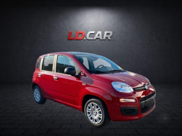 FIAT Pandina 1.0 FireFly 69cv Hybrid Pandina Icon 5 Posti rif. 23911865 - Foto 2