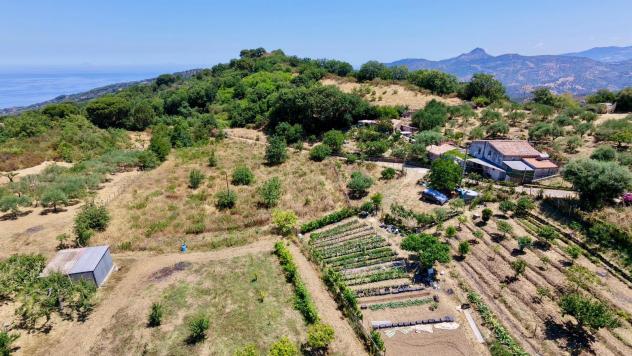 Agricolo in Contrada Vignale - Foto 6