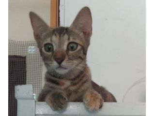 Susina e i suoi bellissimi occhi!