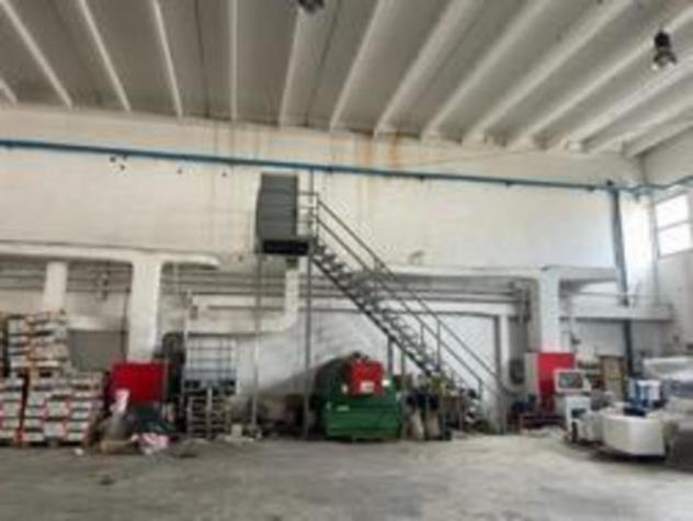 Immobile in asta di 11658 m² con più di 5 locali in vendita a Palo del Colle - Foto 8