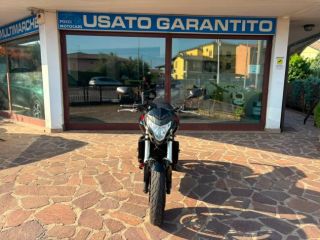 Honda Hornet