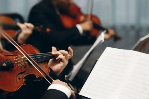 Violinista a Piacenza, Fiorenzuola e Fidenza