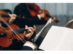 Violinista a Piacenza, Fiorenzuola e Fidenza