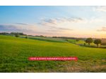 Terreno agricolo con alberi – Apice (Benevento), località Santa Lucia
