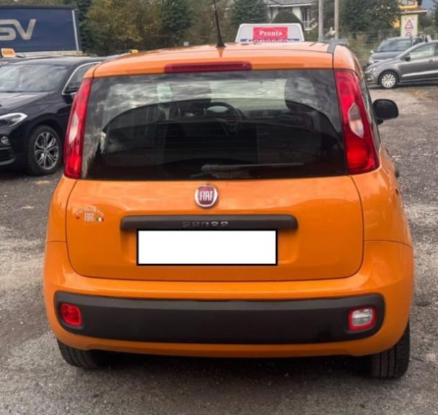 FIAT Panda 1.2 rif. 24113956 - Foto 9