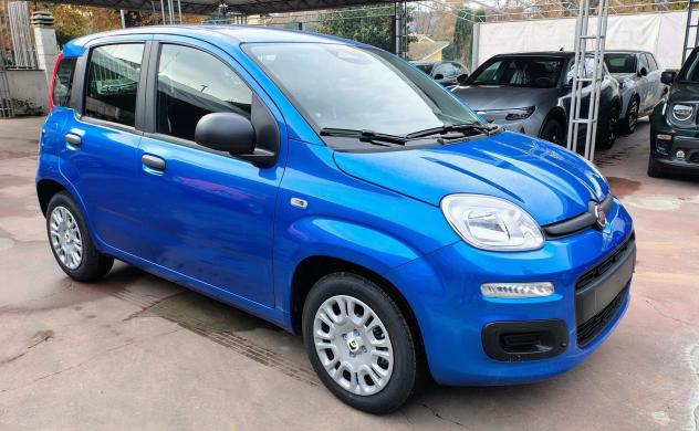FIAT Panda 1.0 FireFly S&S Hybrid - Foto 2