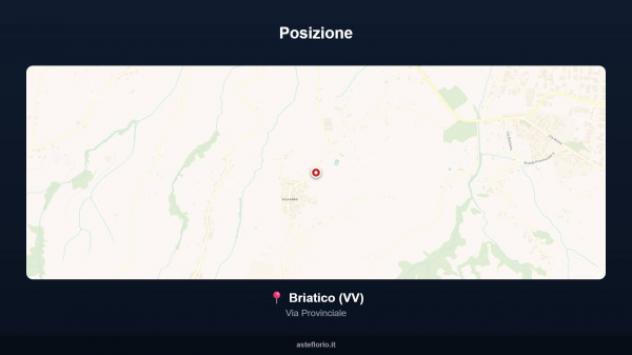 Immobile in asta di 3190 m² in vendita a Briatico - Foto 3