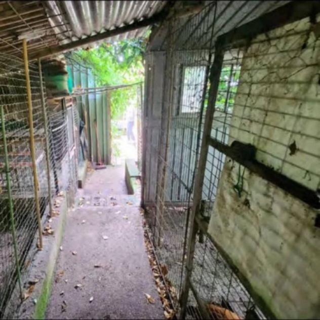 Immobile in asta di 425 m² con più di 5 locali e box auto in vendita a Montorso Vicentino - Foto 2
