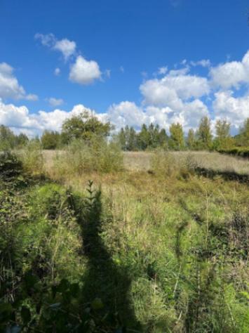 Immobile in asta di 4586 m² in vendita a Gualdo Tadino - Foto 12