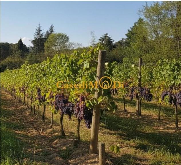 Villa in vendita a Fauglia 1000 mq Rif: 1424014 - Foto 8