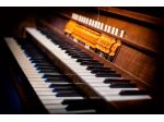 Organista professionista Castenedolo