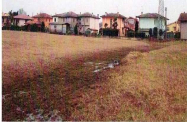 Immobile in asta di 18099 m² in vendita a Santa Caterina d'Este - Foto 5