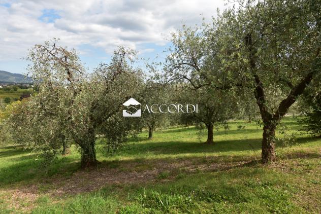 CASA INDIPENDENTE di 3 vani e di 280 mq (VITTORIO VENETO) rif. MM5959 - Foto 5