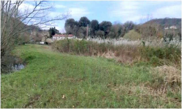 Immobile in asta di 18225 m² in vendita a Teolo - Foto 4