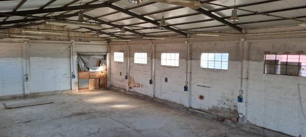 Industriale/Artigianale in vendita a Selargius - Foto 20