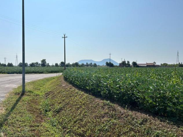 Seminativo in vendita a Castegnero - Foto 12