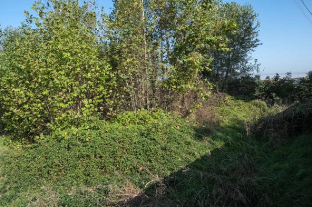 Immobile in asta di 2830 m² in vendita a Inzago - Foto 7