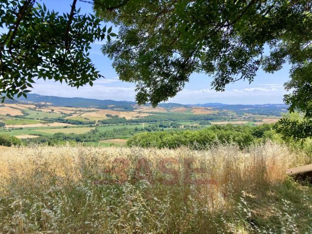 Casale in vendita a Montescudaio - Foto 19