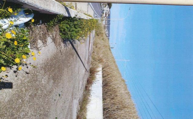 Immobile in asta di 4106 m² in vendita a Santa Marinella - Foto 10