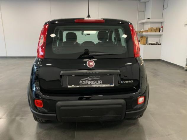 FIAT Panda 1.0 Benzina Hybrid City Life rif. 24052147 - Foto 5