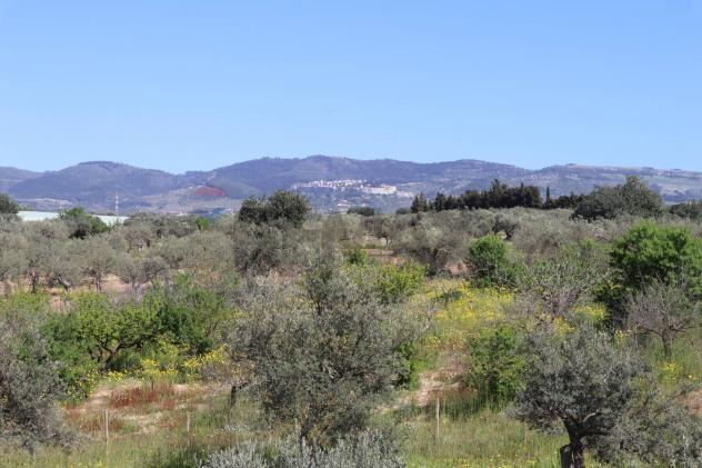Villa singola in vendita a Chiaramonte Gulfi, Roccazzo - Foto 13