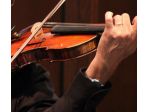 Violinista per matrimoni, cerimonie, concerti a Bologna e Carpi