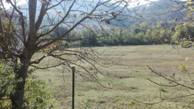 Immobile in asta di 25966 m² in vendita a Acqualagna - Foto 3