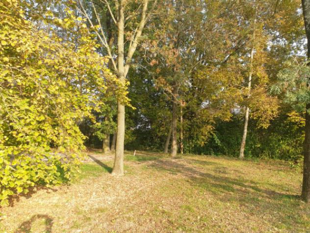 Terreno di 15000 m² in vendita a Correggio - Foto 4