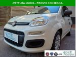 FIAT Panda 1.0 FireFly S&S Hybrid Icon 5°Posto Auto Nuova rif. 23767727