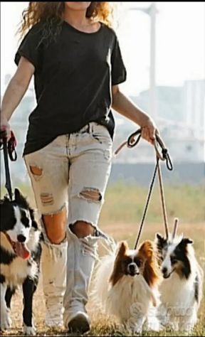 Assistenza anziani colf baby &amp; dog sitter - Foto 5