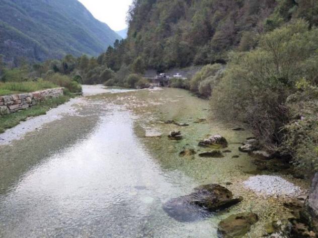 Immobile in asta di 1000 m² in vendita a Valdastico - Foto 2