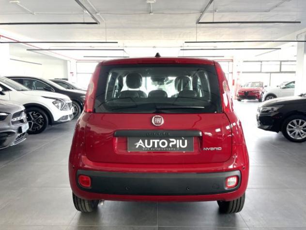FIAT Panda 1.0 Hybrid 70 CV Icon KM0 MY 26 rif. 23510551 - Foto 7